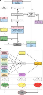 Effectiveness and cost-effectiveness analysis of 11 treatment paths, seven first-line and three second-line treatments for Chinese patients with advanced wild-type squamous non-small cell lung cancer: A sequential model